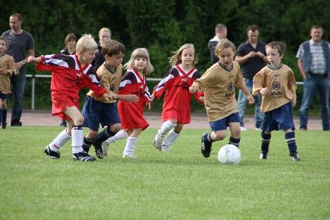 Alle dem Ball nach!
