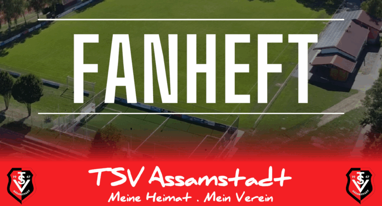 TSV Fanheft – Ausgabe 15